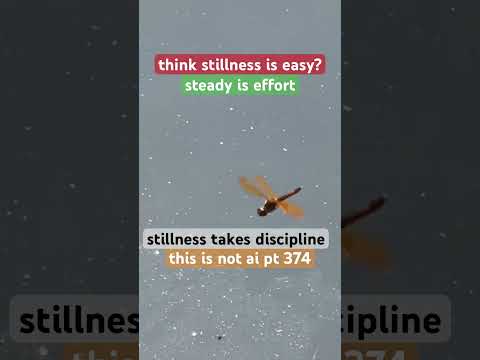 “think stillness is easy?”-#dragonfly|#SteadyIsEffort|naturevideo without AI part 374|#ThisIsNotAI