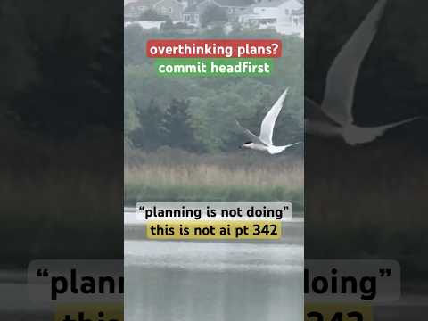 "overthinking plans?"#tern#CommitHeadfirst|i made this nature video without AI part 342|#ThisIsNotAI
