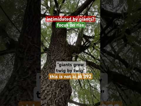 “intimidated by the giants?”-#willowtree|#FocusOnRise|nature video without AI part 392|#ThisIsNotAI