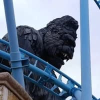 test_user45258
